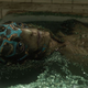 Doug Jones as “Charlie,” the fish-man creature from The Shape of Water.